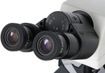Микроскоп  Levenhuk MED 45B