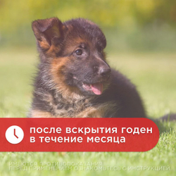 Ушные капли для профилактики и лечения наружных и средних отитов бактериальной этиологии собак и кошек, а также для гигиенической обработки ушей Отоферонол (ТопВет),10мл Циклоферон