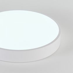 Накладной светильник Natali Kovaltseva  LED LAMPS 81112/5C