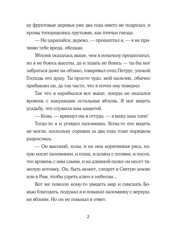 Мальчик и его книга