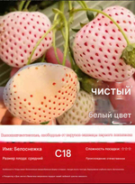 Белоснежка Bai Xue Gongzhu 白雪公主