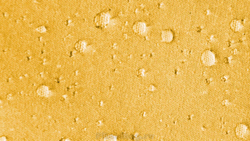 Палатка Outwell Kauai Reef 6 [110259]