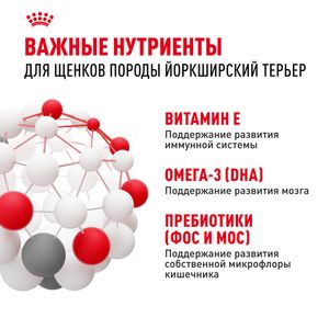 Уценка! Срок 07.2025/ Сухой корм Royal Canin Yorkshire Terrier Puppy для щенков породы Йоркширский Терьер до 10 месяцев