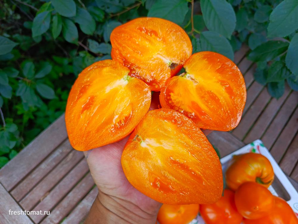 Озеро Брэт жёлтое сорт томата