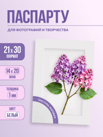 Паспарту 21х30 см белый арт.80992130
