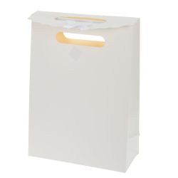 GAEM Пакет подарочный S (бумага 210г/м2, блок микс 12шт), L19 W8,5 H27 см, 2в.