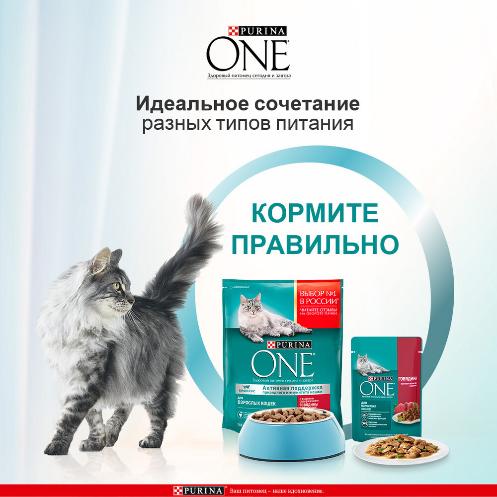 Говядина с морковью, 75г влажный корм для взрослых кошек Purina ONE