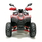 Электроквадроцикл Green Camel Атакама T610 (72V 2000W R8)