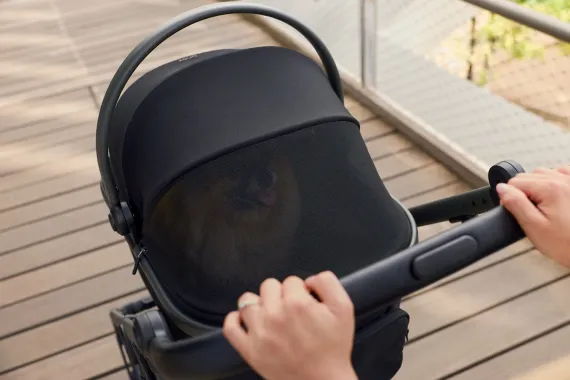 Переноска для питомца к детской коляске Anex Modu Black