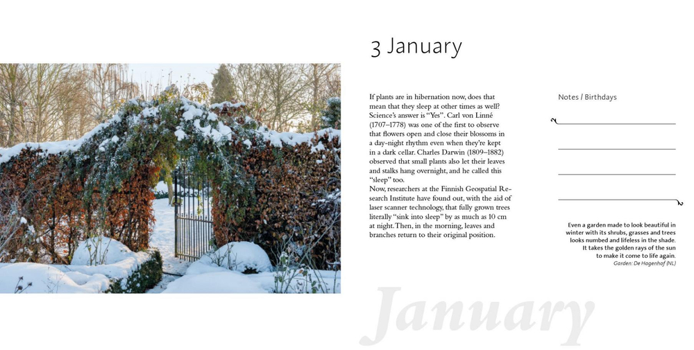 A Year in the Garden. 365 Inspirational Gardens and Garden Tips