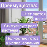 Авторский грунт для Замиокулькаса, 1 литр