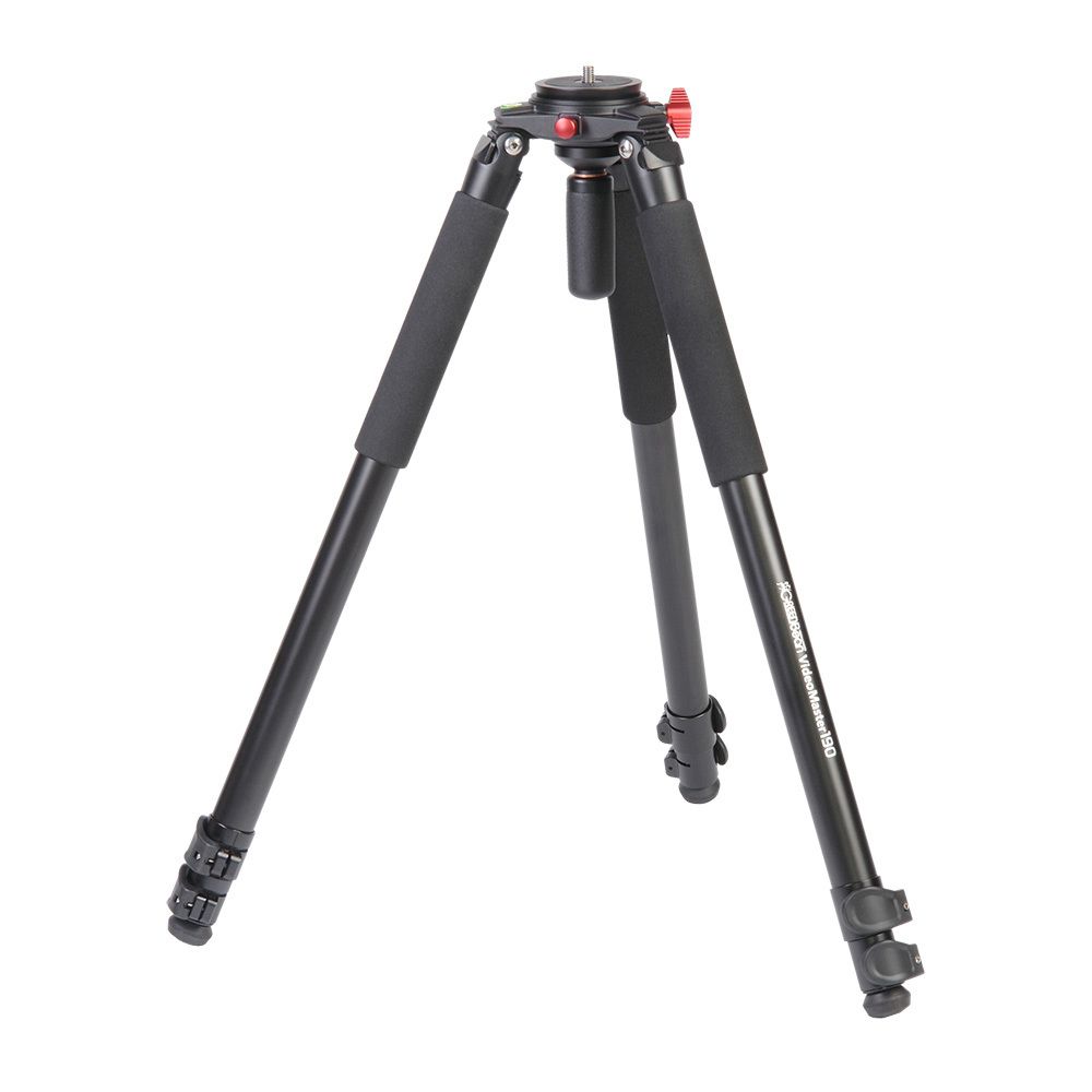 GreenBean VideoMaster 190