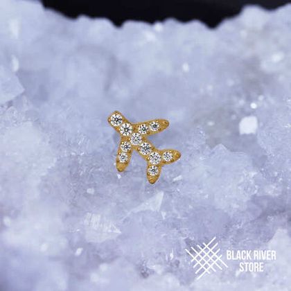 Plane Crystal PVD Yellow