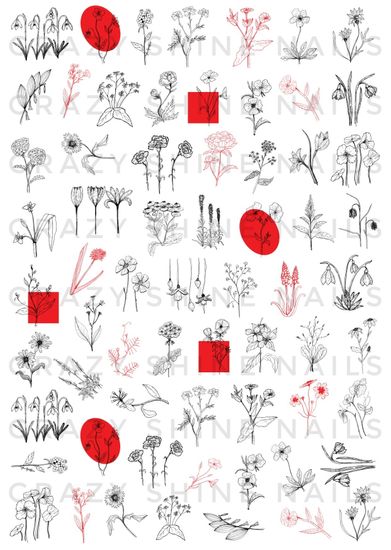 Слайдер-дизайн Crazy Shine Nails mini: Монохром