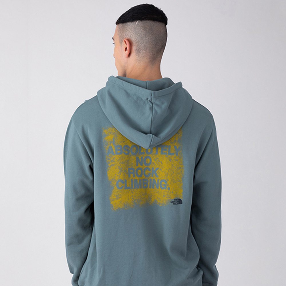 Худи THE NORTH FACE UE FW21 Logo, NF0A5JUO-117