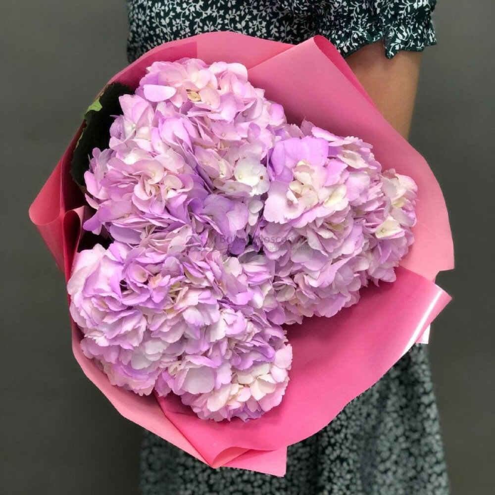 Букет "Гортензия" в дизайнерской упаковке 3 штуки