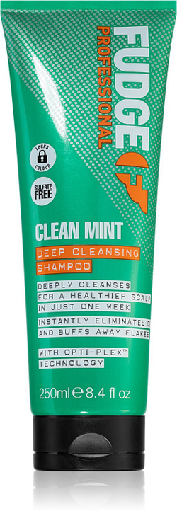 Fudge Clean Mint Shampoo - шампунь для жирных волос /   250  ml  / GTIN 5031550000672