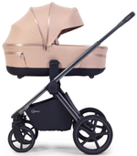 Детская коляска Rant Falcon Soft Therm 3 в 1 с автокреслом Evomax Black Beige