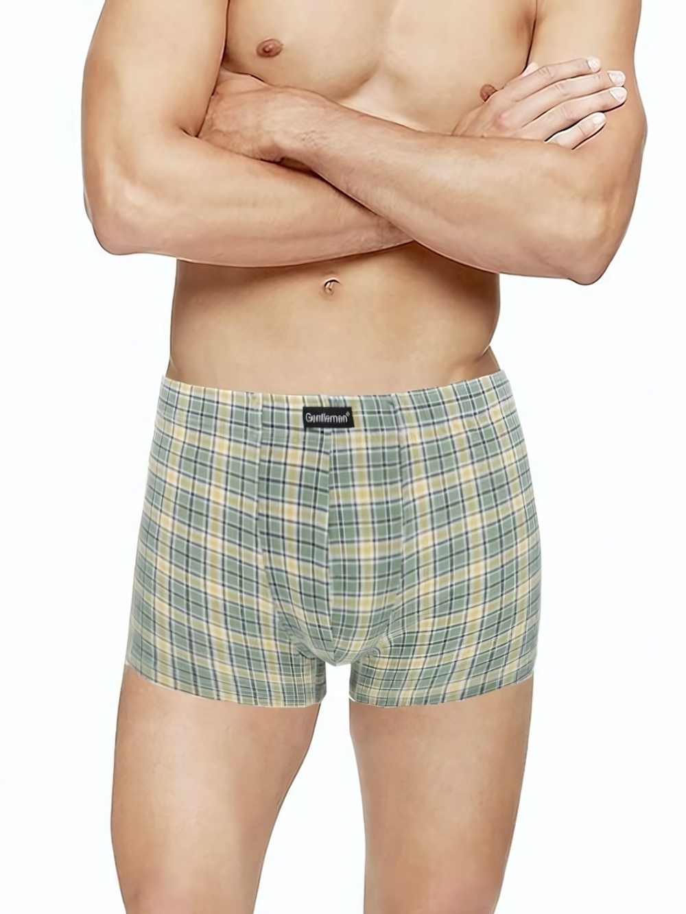 Клетчатые трусы-шорты (Размер: L) (Цвет: зеленая шотландка)