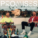 Calvin Harris & Sam Smith / Promises (Picture Disc)(12" Vinyl Single)