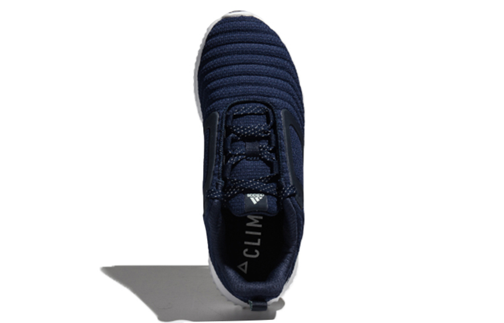 Кроссовки Adidas Climawarm All Terrain (Женская размерная сетка)