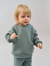 Свитшот "Полынь" утепленный 0+