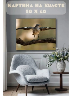 Картина на стену 40 X 50 Птица