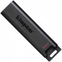 Накопитель USB Flash_512Gb Kingston DataTraveler Type-C Max USB3.2 (DTMAX/512GB)
