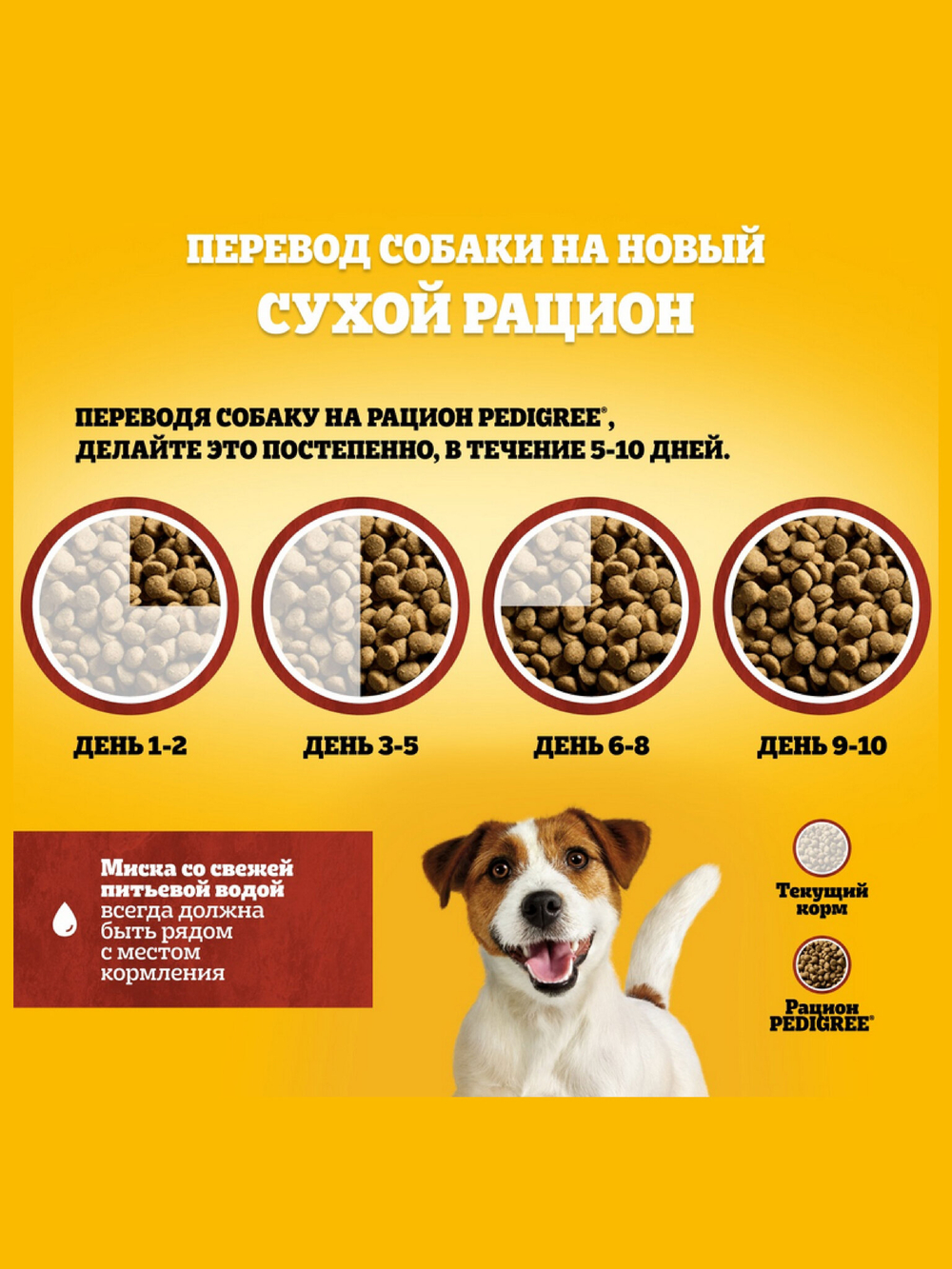 Сухой корм для собак мелких пород с Говядиной