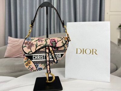 Christian Dior Saddle 25 cm
