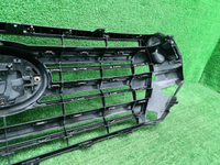Решетка радиатора Toyota Land Cruiser 200 (15-21)