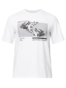 ФУТБОЛКА МУЖСКАЯ BASK TOPOGRAPHY MT