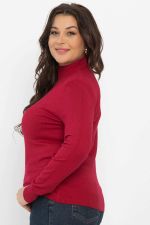 Водолазка Осенняя история (красная) Б14541-20М LT Collection