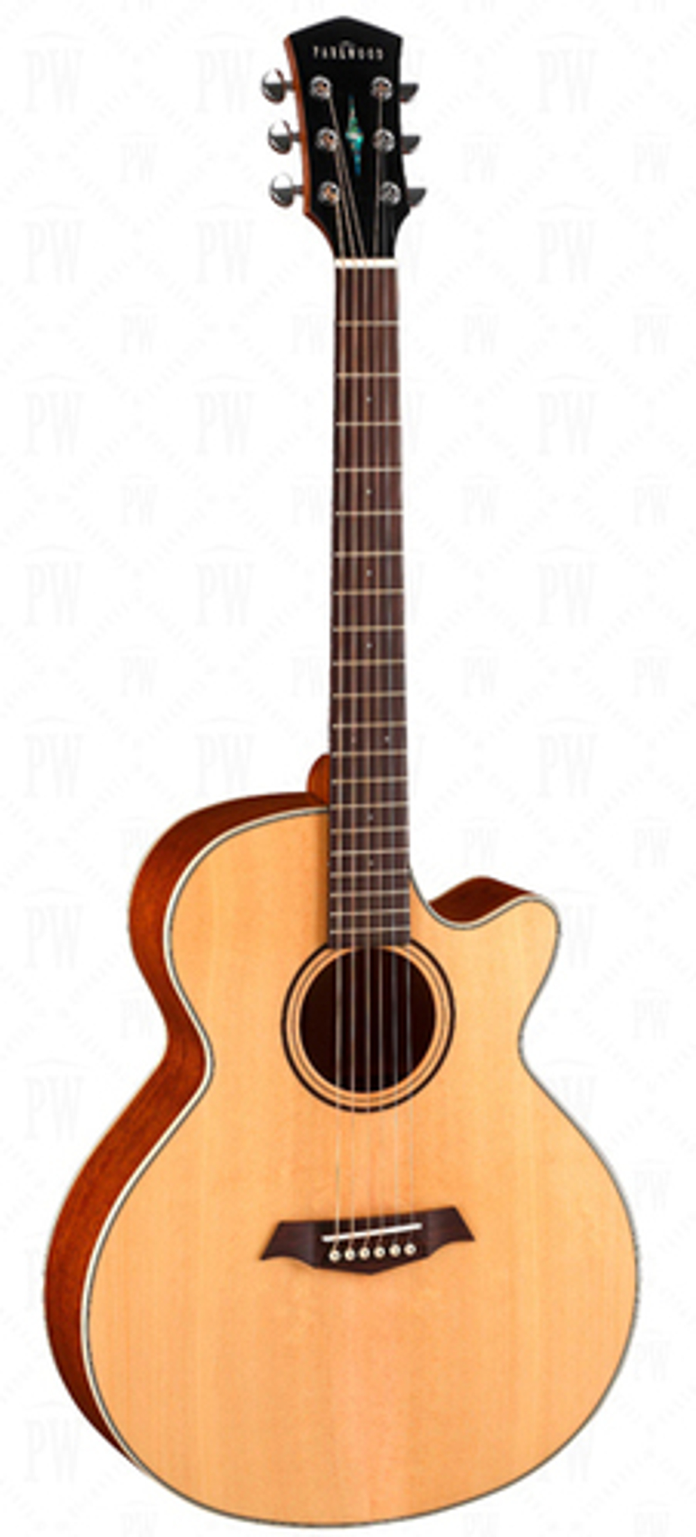 Электроакустика Parkwood S27-GT