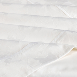 Постельное белье 2 спальное евро макси Сlaire&Caroll Frame белый жаккард