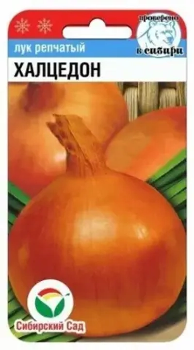 Лук репчатый Халцедон 1г (Сиб сад)