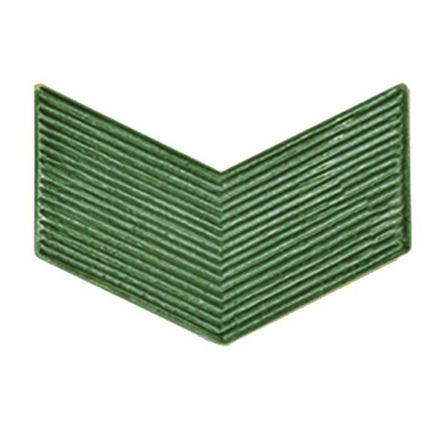 Лычка оливковая металлическая ВС старший Сержант