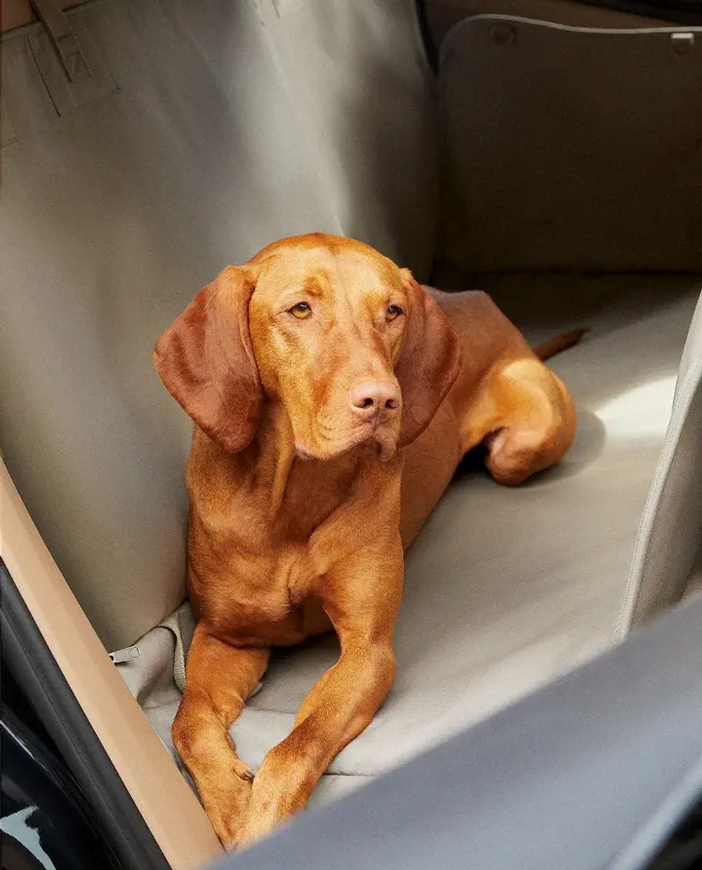 ZARA HOME АВТОМОБИЛЬНОЕ ОДЕЯЛО ДЛЯ ДОМАШНИХ ЖИВОТНЫХ