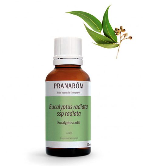 Натуральное эфирное масло Эвкалипт лучистый, Pranarom
