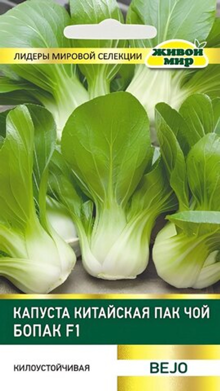 Капуста китайская "ЖМ. Пaк Чoй Бoпaк F1" 10шт., Нидерланды.