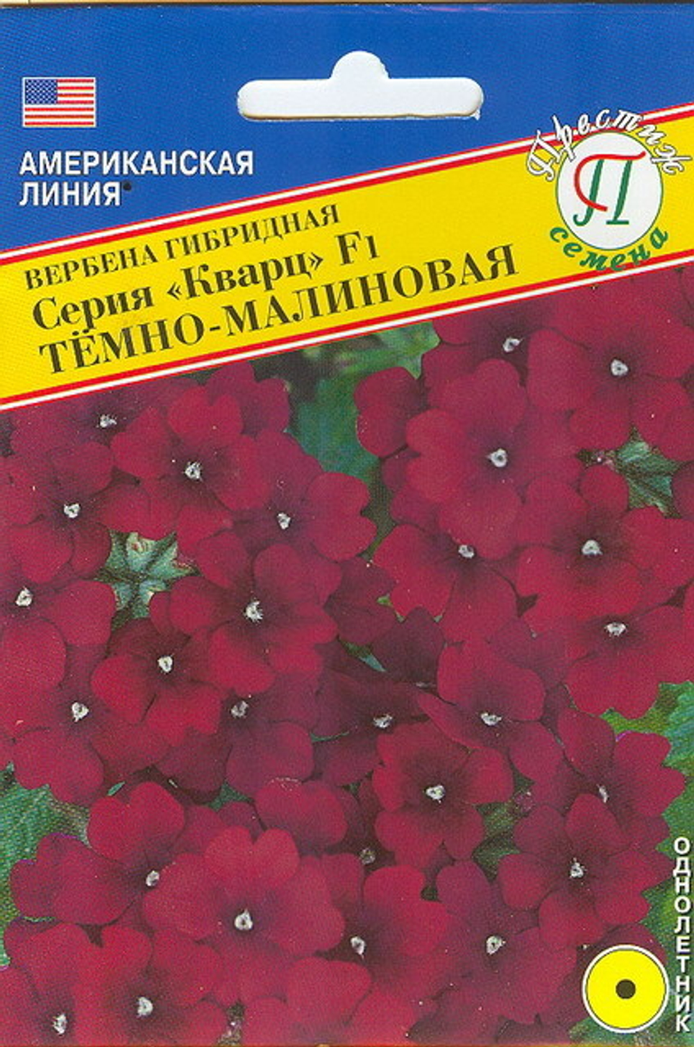 Вербена Кварц Темно-малинов. Престиж