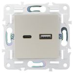 SKANDY Розетка USB A+C 18Вт SK-R13Sh шампань IEK