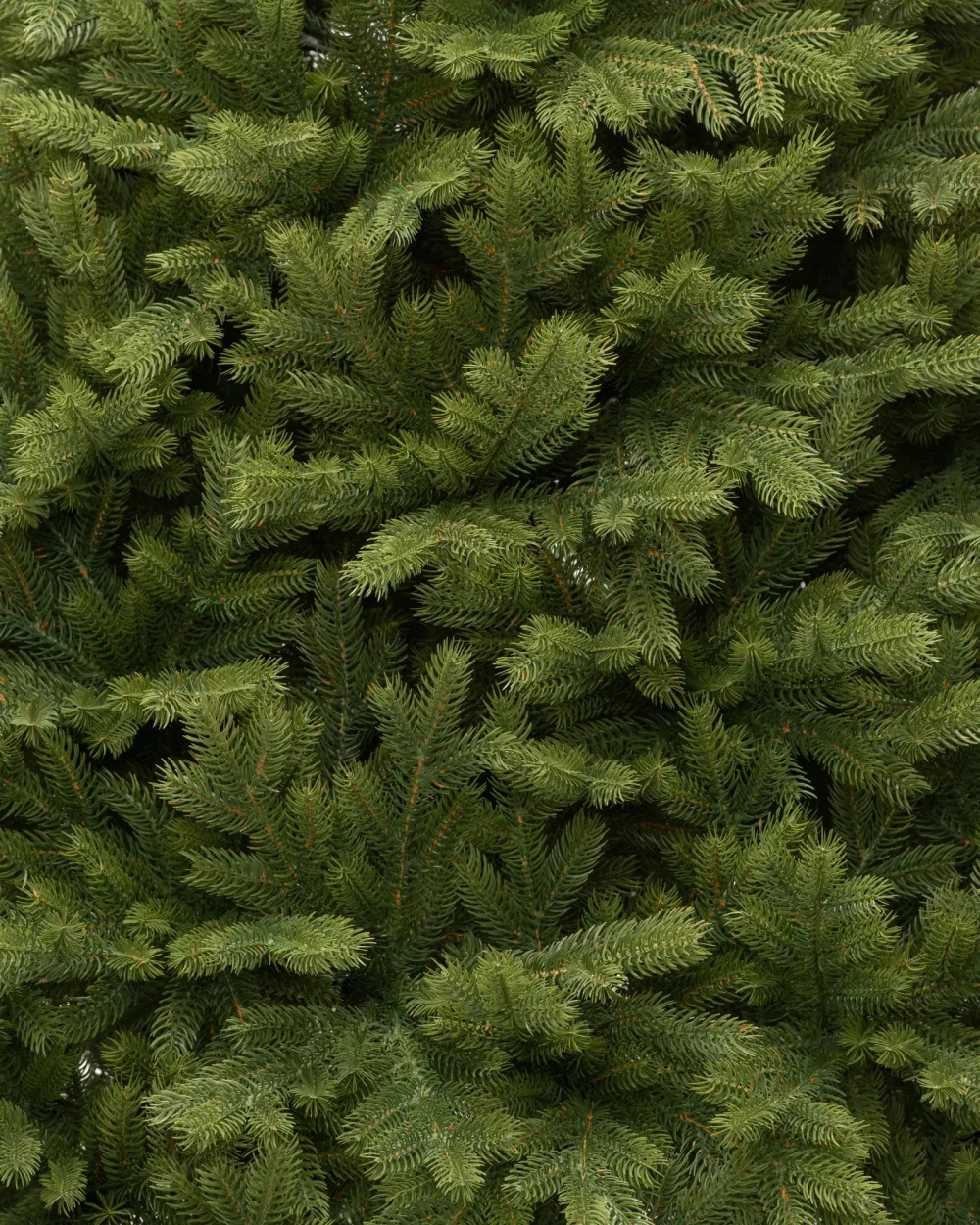 Искусственная елка Эрмитажная 210 см., 100% литая хвоя, ЕлкиТорг (94210)