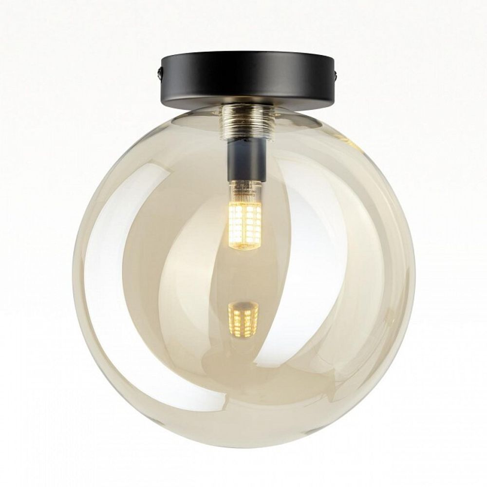 Накладной светильник Citilux ORTON CL202512