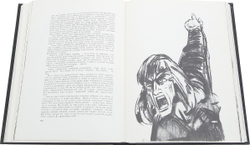 Легенда об Уленшпигеле и Ламме Гудзаке их приключениях отважных, забавных и достославных