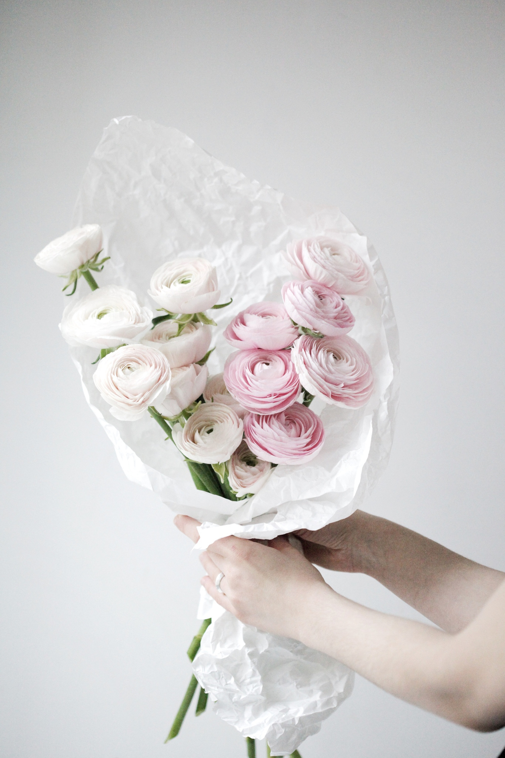 ранункулюсы купить Москва