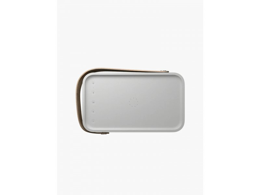 Портативная акустика Bang & Olufsen Beolit 20 Grey Mist