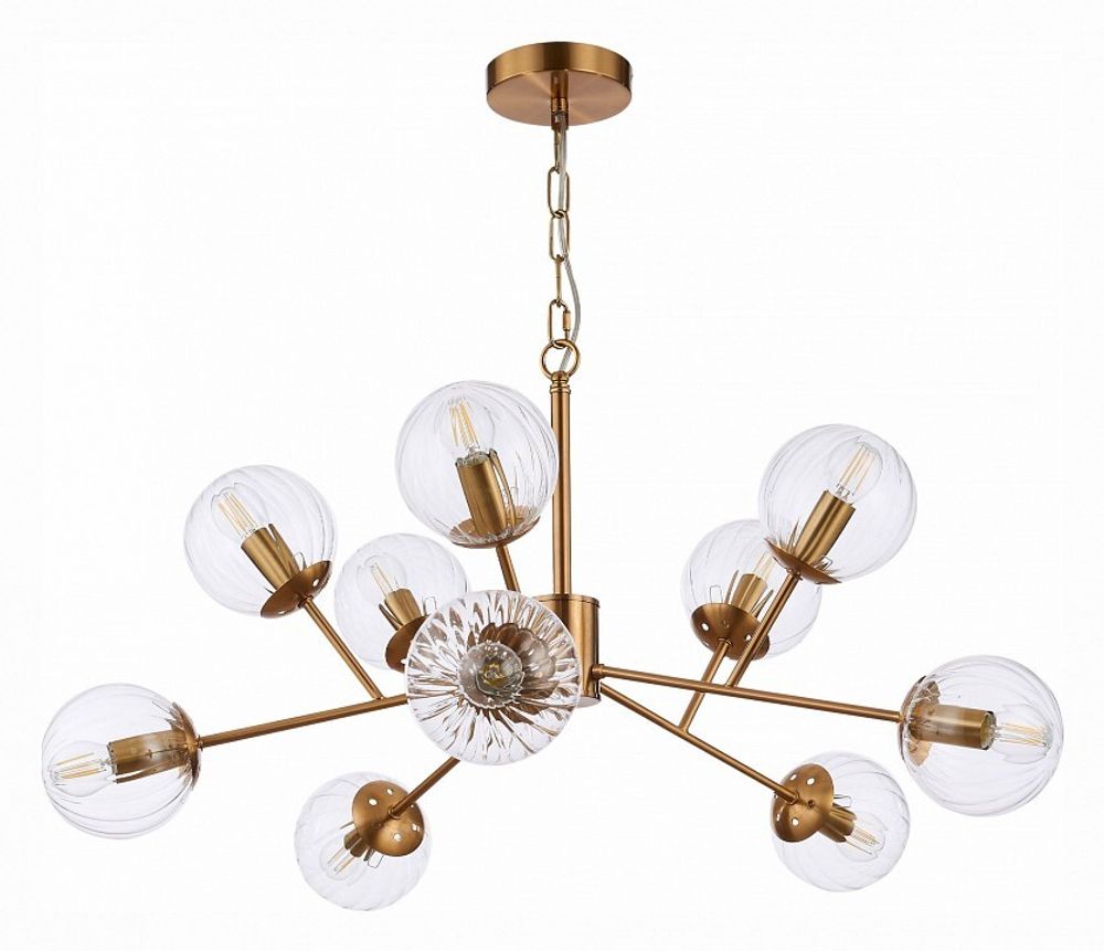 Подвесная люстра EVOLUCE Andria SLE220803-10