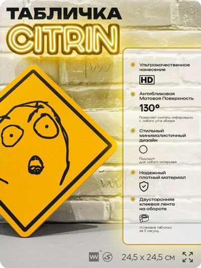 Табличка мем "Мем фейс" шуточная прикольная табличка на дверь и стену, для офиса и дома, декоративный знак, 24,5х24,5 см, пластиковая, Айдентика Технолоджи