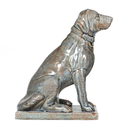 Собака декоративная Evergreen Нидерланды вид сбоку